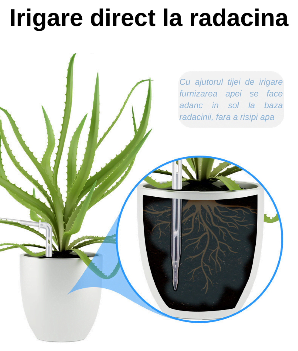 Irigare direct la rădăcină plantă în ghiveci.